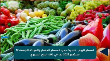 أسعار اليوم.. تحديث جديد لأسعار الخضار والفواكه الجمعة 12 سبتمبر 2025 بما في ذلك البلح السيوي